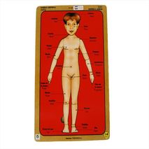 Esquema Corporal Articulado Niño