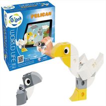Pelicano Interactivo