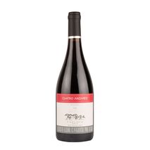 Vino CU4TRO ANDARES  (750  ml)