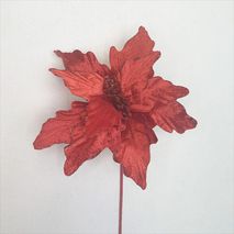 93788 Poinsettia 50X29 Cm Roja