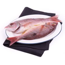 Pargo platero o lunarejo  fresco