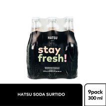 Soda HATSU Surtida x9und 300ml (2700  ml)