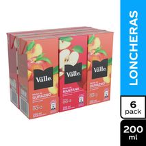 Bebida DEL VALLE  (1200  ml)