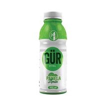 Bebida en polvo GUR VITAL  (440  ml)