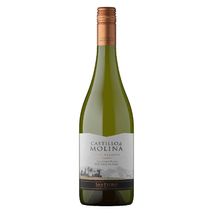 Vino blanco CASTILLO DE MOLINA sauvignon Sauvignon (750  ml)