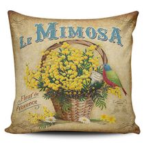 Funda Cojin Decorativo Tayrona Store Le Mimosa Vintage 01
