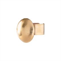 Anillo Rocoso